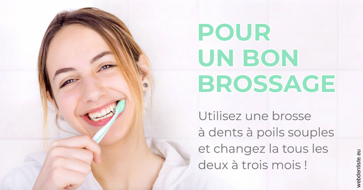 https://scp-stricker-rozensztajn-doux.chirurgiens-dentistes.fr/Pour un bon brossage 2