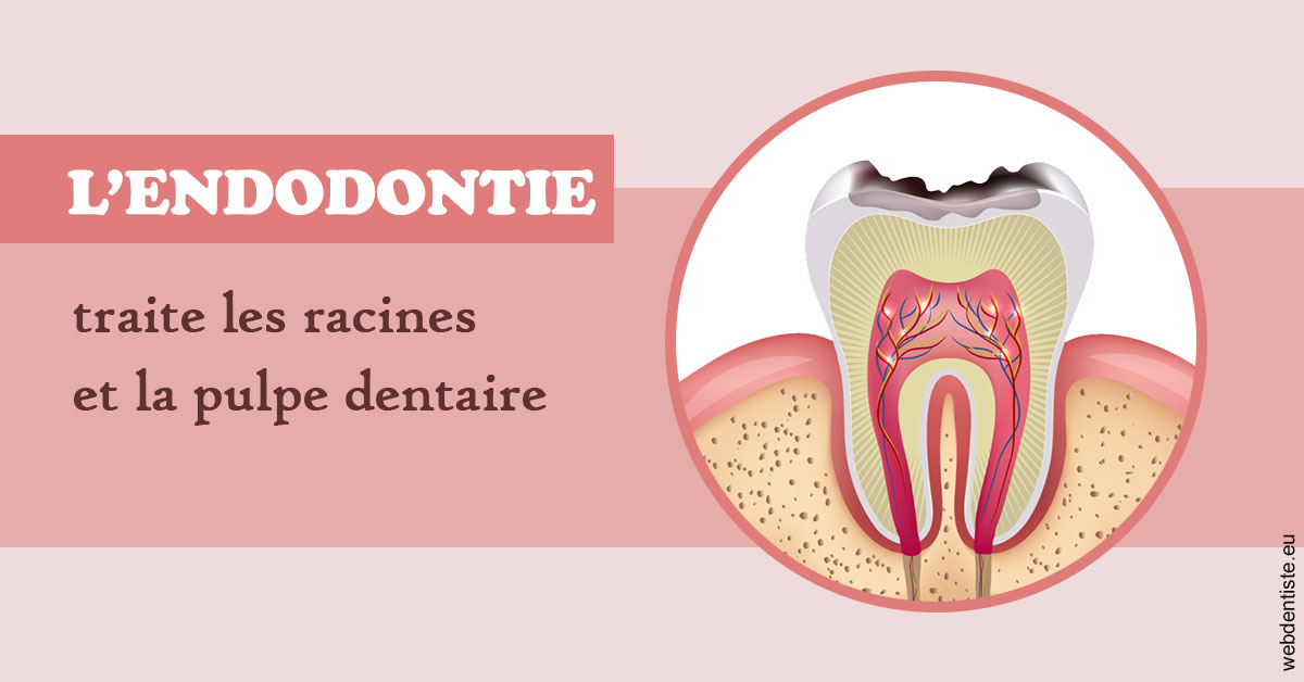 https://scp-stricker-rozensztajn-doux.chirurgiens-dentistes.fr/L'endodontie 2