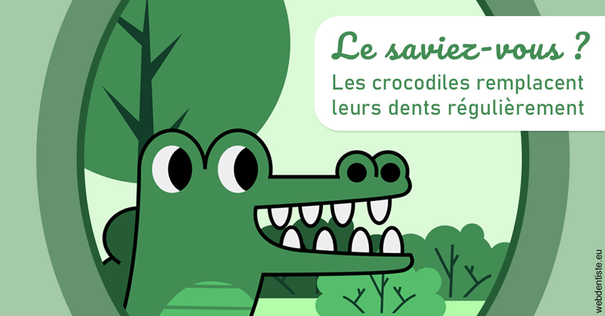 https://scp-stricker-rozensztajn-doux.chirurgiens-dentistes.fr/Crocodiles 2